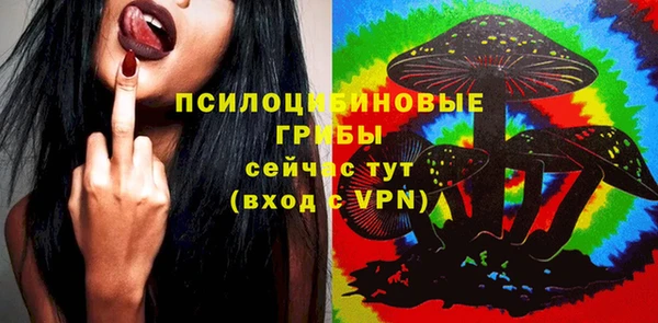 ECSTASY Алексеевка